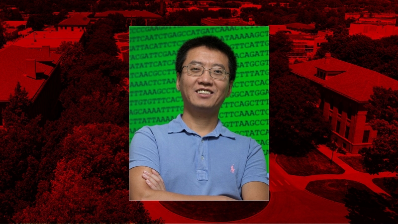 Faculty Spotlight: Yanbin Yin