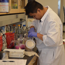 A food scientist inserting preparing samples.