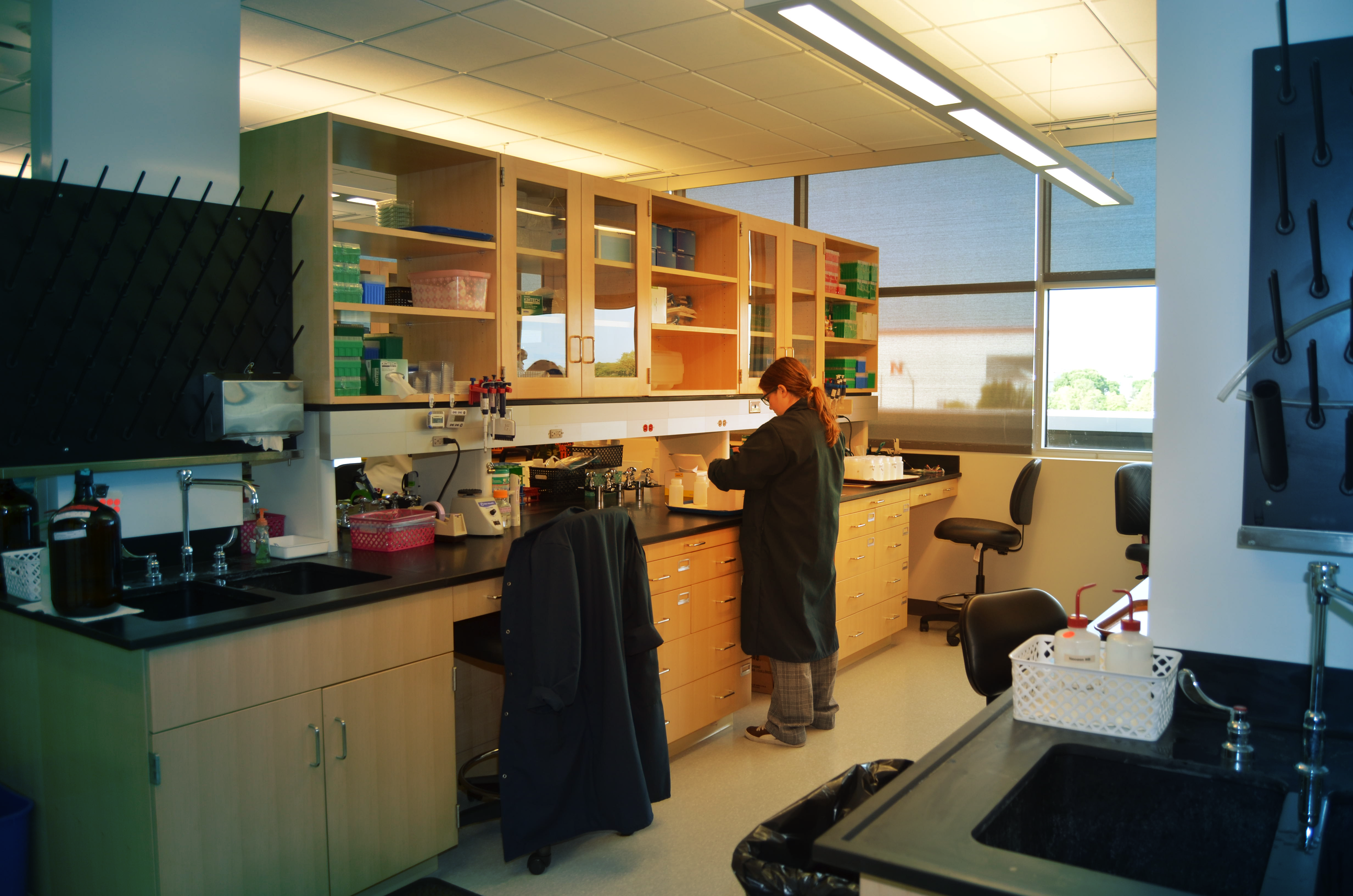 A scientist in the food allergy lab working at a table