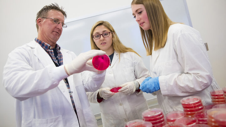 UNL's Andrew Benson (from left) discusses cultures with Shannon Rezac and Melanie Heerman. Benson teaches a food microbiology laboratory course in the Food Innovation Center at Nebraska Innovation Campus. The class works with identifying classes of salmonella on raw food.