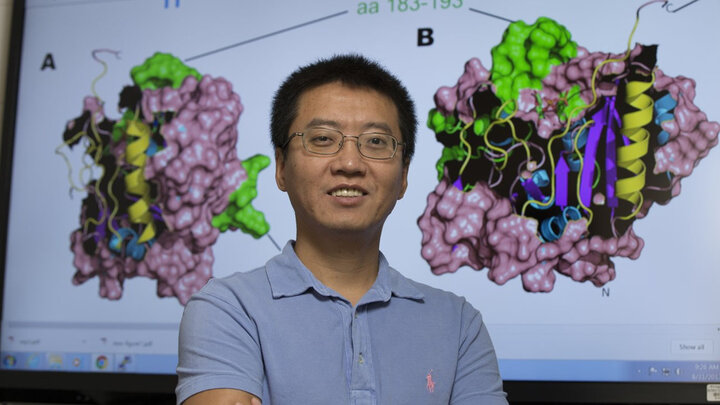 Yanbin Yin, associate professor of food science at Nebraska, has received a four-year, $1.2 million grant from the National Institutes of Health to continue his research.