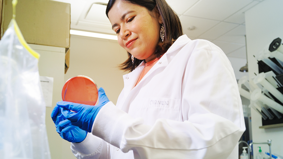 Graduate student in the lab