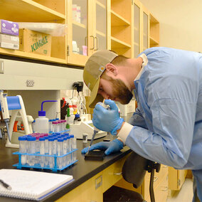 A lab worker uses a pipette to fill a container.