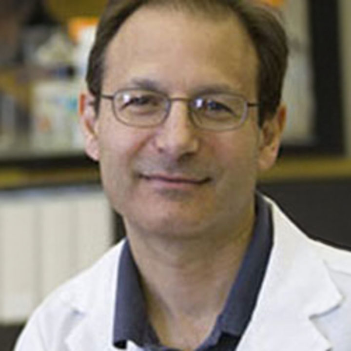 Avatar for Dr. Robert Hutkins