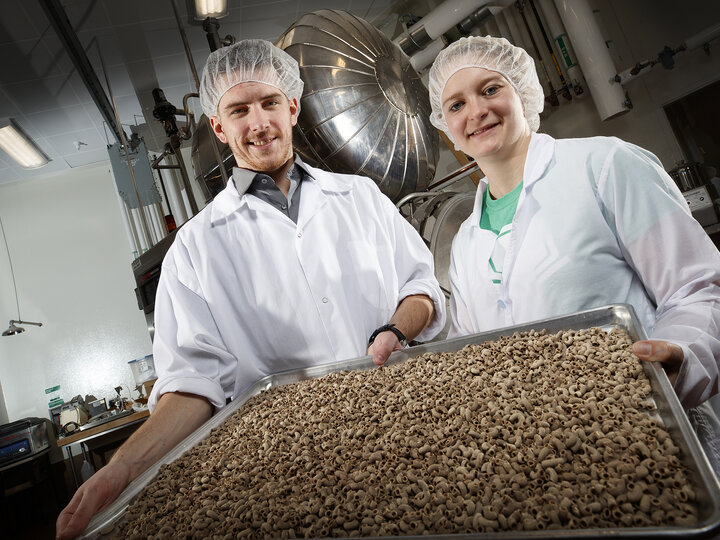 Bugeater Foods