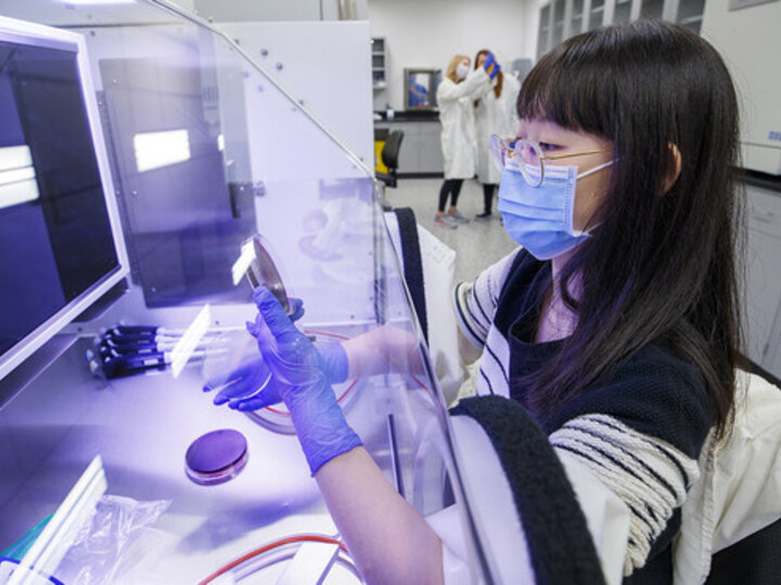 Jing Shao, graduate student in food science and technology, cultures gut bacteria in an oxygen-free chamber.