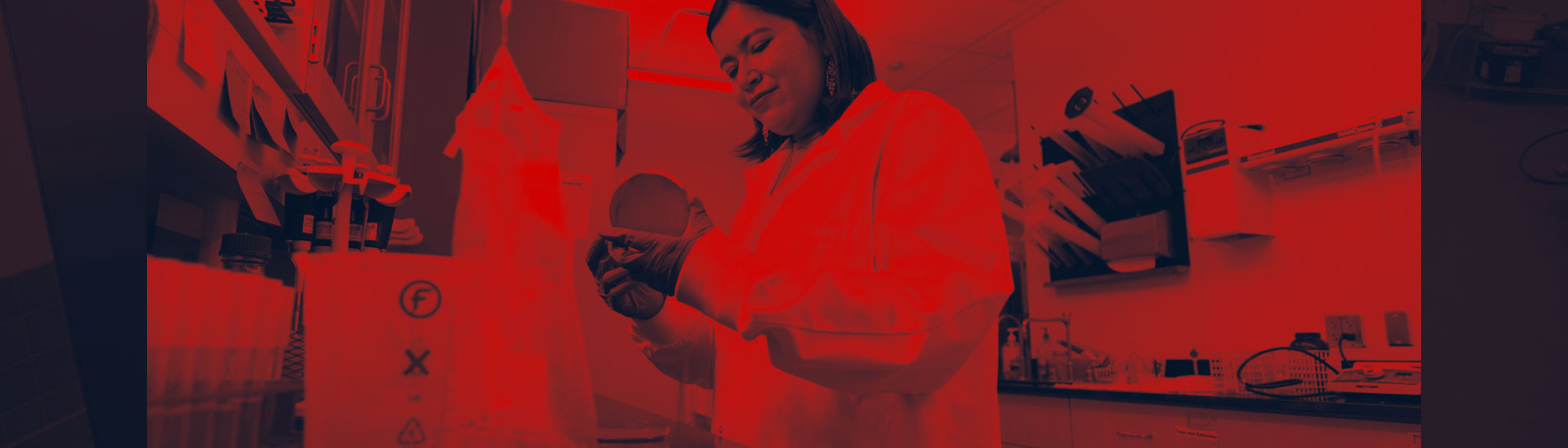 A student working in a lab.